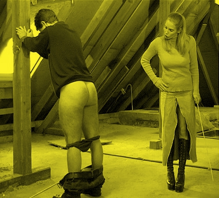hg03217.jpg