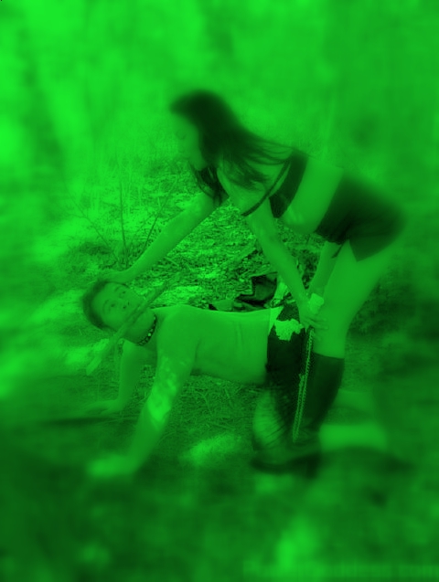 dogtrenink05.jpg